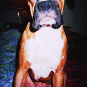Marley (5 mths.)