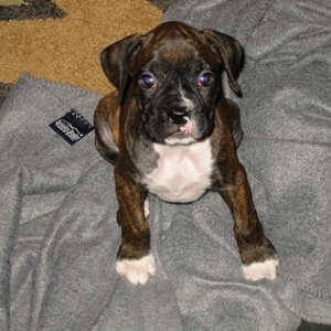 Mya's Aspen Skye
