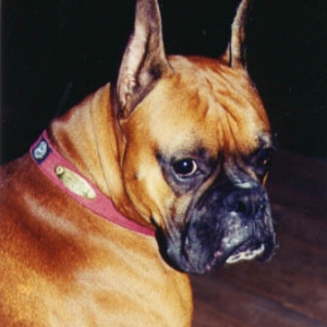 "I'm ready for my close-up, Mr. DeMille"