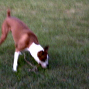 Playing keep away