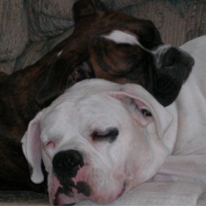 Chloe and Zander 9-02
