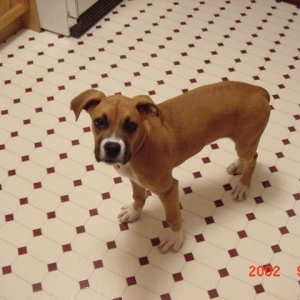 15 weeks old