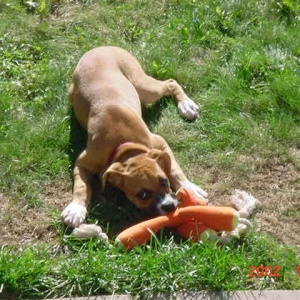 Playing
