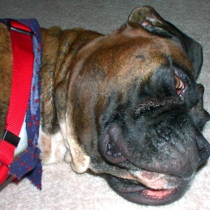 I think the flash woke him up!