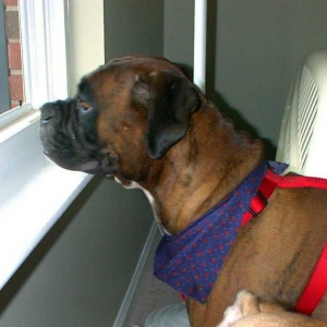 On alert