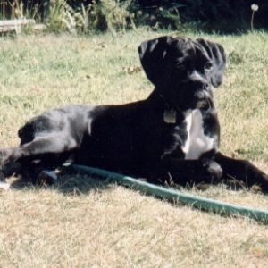 Enjoying the sun