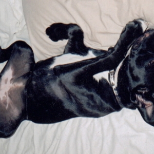 Isn't this my bed?!?