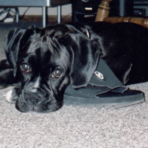 Missing daddy