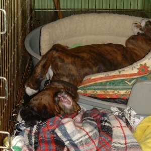 Flat out then!!!!!!!!!!!!!