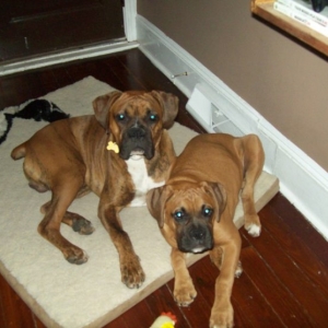 My Babies Again