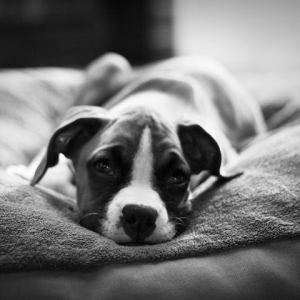 sleepy