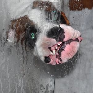 tonto's scary shower scene