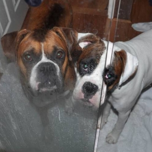 mambo & tonto shower scene