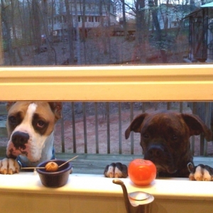 Take Out Window