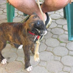 Odin Rope