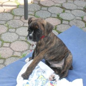 Odin Sitting
