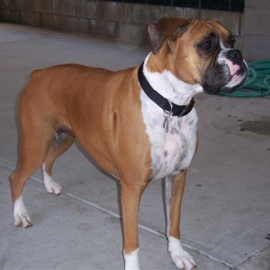 Samantha_3_Years_11_Months_Old