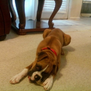Jay at 6 months