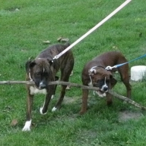 Karma & Aries