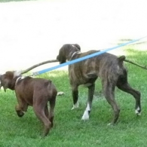 Karma & Aries