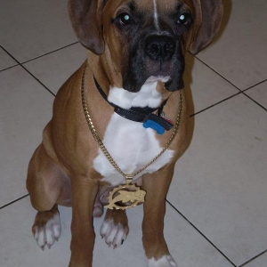 Bruno