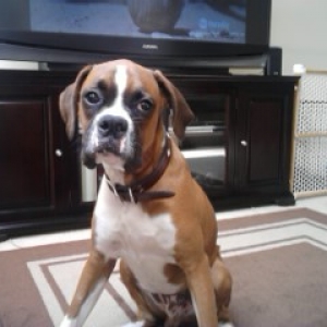 Mosley at 6 months