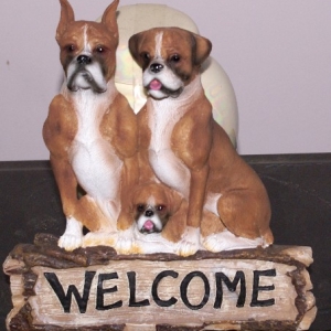 Another Boxer Welcom Sign