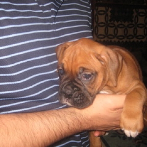 Our "no name" little girl
