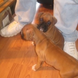 Our little black mask girl with her sister