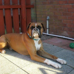 rusty_summer_3