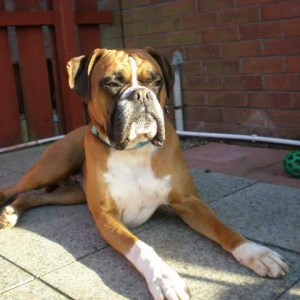 rusty_summer_4