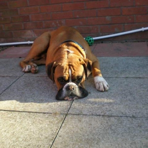 rusty_summer_10