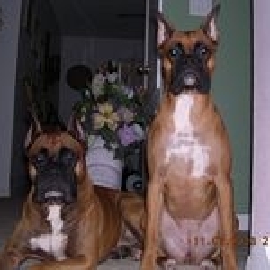 Taz and Tasha