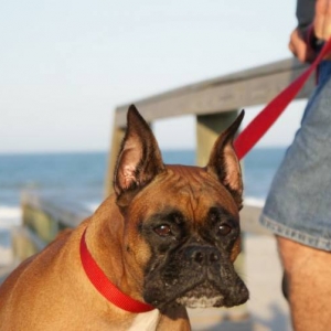 Tasha @ Cocoa Beach