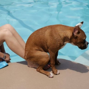 Hurley relaxing on Becca