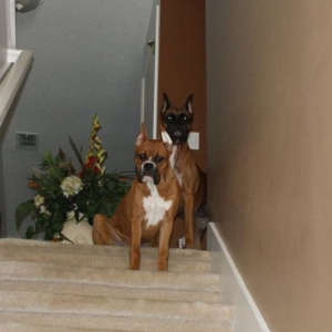 Tasha & Hurley @ the top of stairs