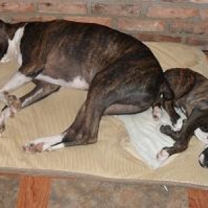 Beau Odin Sleeping