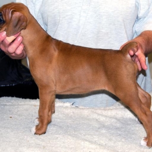 7Weeks Old