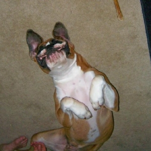 Gunner just being silly