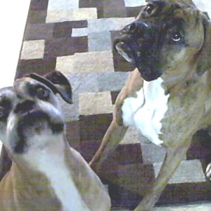 Mommy has our toy!