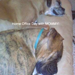 Mommy's co-workers