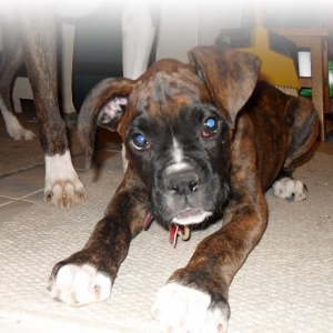 Odin Playing 10 weeks