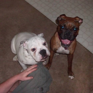 good friends