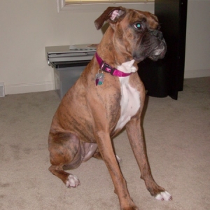 zoey