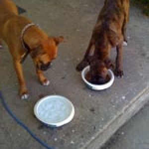 Oskar and Bella 2