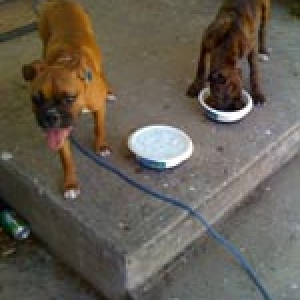 Oskar and Bella 3