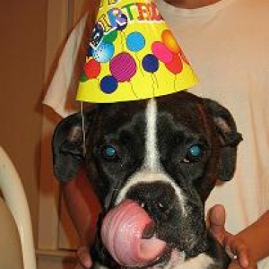 Dino's First Birthday 5-29-09