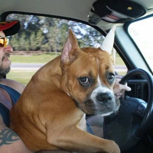 Hurley is driving