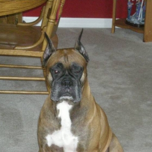 My Taz!