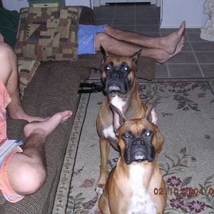 Taz and Tasha